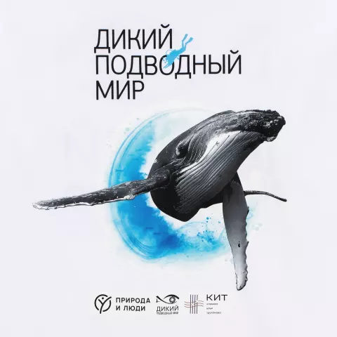 DTF-печать: Футболка унисекс Regent 150 — пример нанесения логотипа