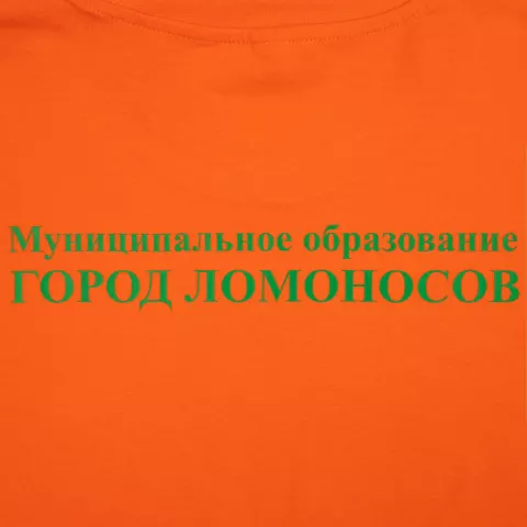 Шелкография: Футболка унисекс Regent 150 — пример нанесения логотипа