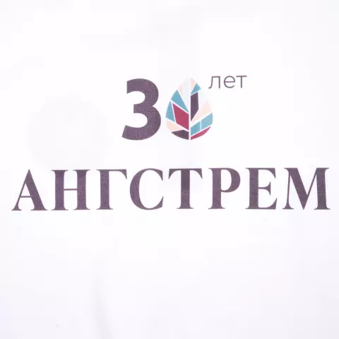 Прямая печать на ткани: Рубашка поло мужская Spring 210 — пример нанесения логотипа