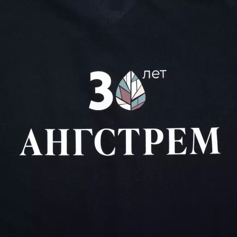 Прямая печать на ткани: Рубашка поло мужская Spring 210 — пример нанесения логотипа