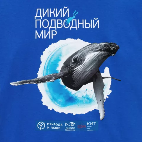 DTF-печать: Футболка унисекс Regent 150 — пример нанесения логотипа
