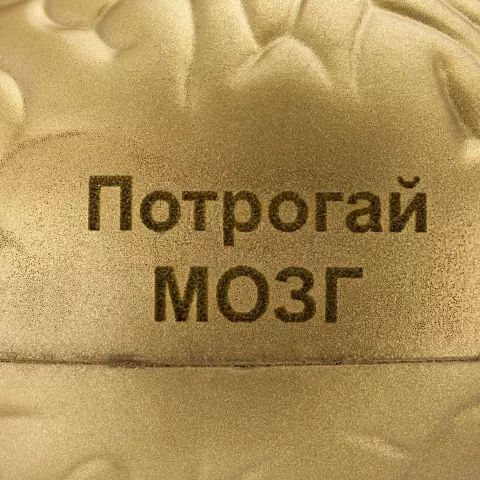 Лазерная гравировка: Антистресс «Золотой мозг» — пример нанесения логотипа