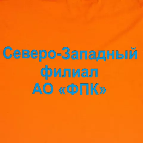 Шелкография: Футболка унисекс T-bolka 140 — пример нанесения логотипа