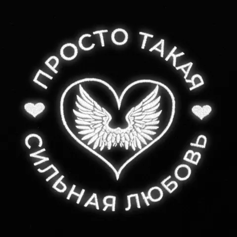 Вышивка: Толстовка Spider 260 — пример нанесения логотипа
