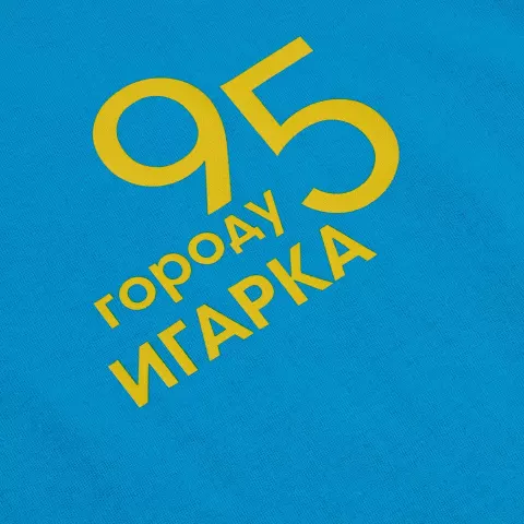 DTF-печать: Футболка унисекс Regent 150 — пример нанесения логотипа