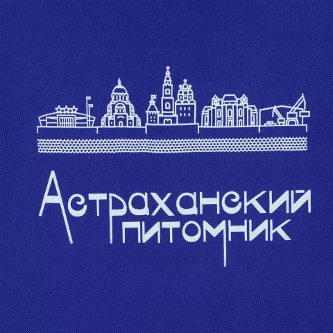 Прямая печать на ткани: Рубашка поло мужская Virma Light — пример нанесения логотипа