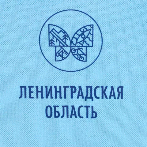 Шелкография: Рубашка поло мужская Virma Light — пример нанесения логотипа