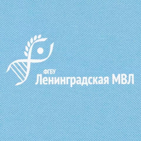 Шелкография: Рубашка поло мужская Virma Light — пример нанесения логотипа