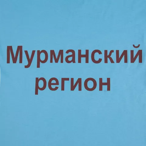 Шелкография: Футболка унисекс T-bolka 140 — пример нанесения логотипа