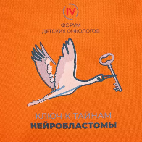 DTF-печать: Холщовая сумка Strong 210 — пример нанесения логотипа