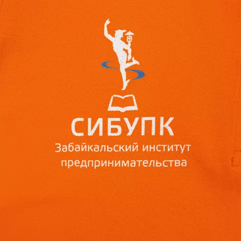 Прямая печать на ткани: Рубашка поло женская Virma Lady — пример нанесения логотипа