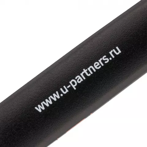 Тампопечать: Ручка шариковая Prodir DS1 TMM Dot — пример нанесения логотипа