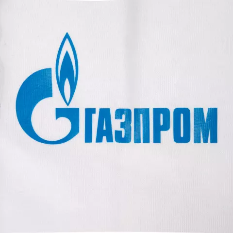 Шелкография: Свитшот унисекс BNC Inspire (Organic) — пример нанесения логотипа