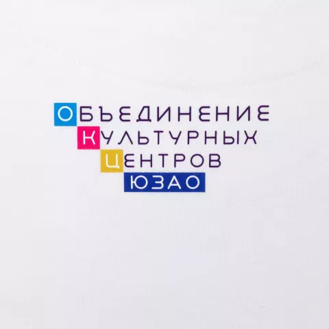 DTF-печать: Толстовка с капюшоном унисекс King — пример нанесения логотипа