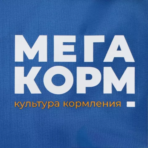 DTF-печать: Дождевик Rainman Zip Pro — пример нанесения логотипа