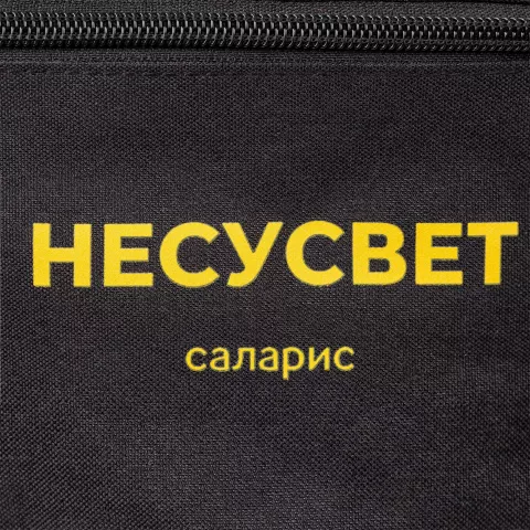 DTF-печать: Поясная сумка Handy Dandy — пример нанесения логотипа