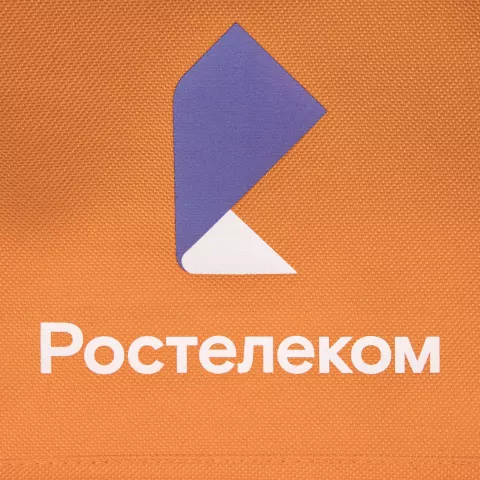 DTF-печать: Рюкзак Base — пример нанесения логотипа