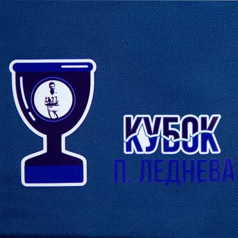 DTF-печать: Рюкзак Base — пример нанесения логотипа