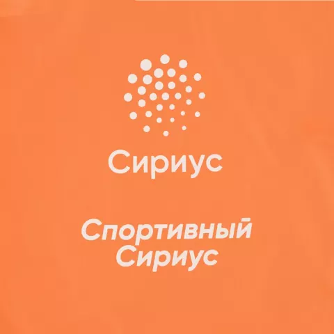 Шелкография: Рюкзак New Element — пример нанесения логотипа