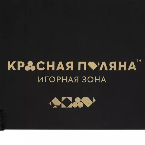 Тиснение: Ежедневник New Factor — пример нанесения логотипа