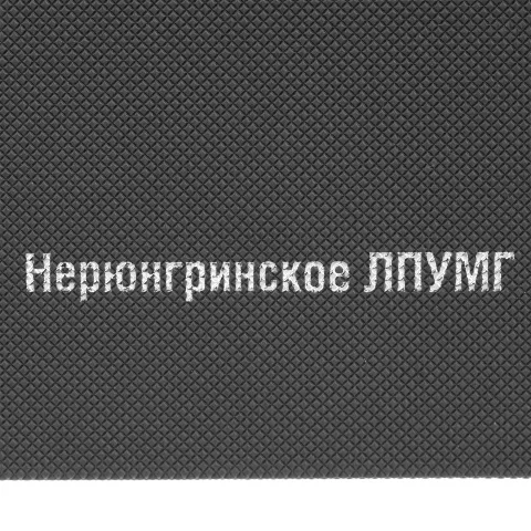 Тиснение: Ежедневник Grade — пример нанесения логотипа