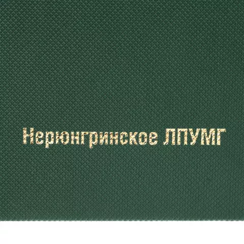 Тиснение: Ежедневник Grade — пример нанесения логотипа