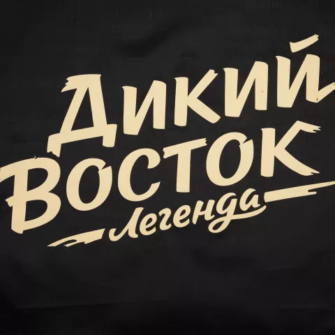 Шелкография: Массажная балансировочная подушка Balansa — пример нанесения логотипа