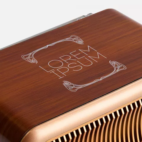Тампопечать: Bluetooth-колонка с радио Beatnik — пример нанесения логотипа