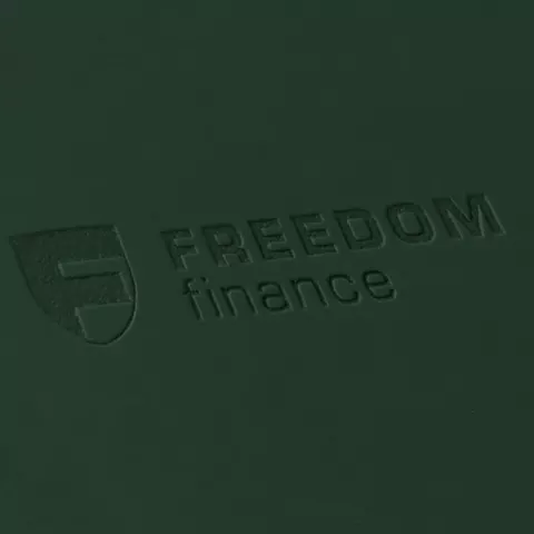 Тиснение: Ежедневник Flex Shall New — пример нанесения логотипа